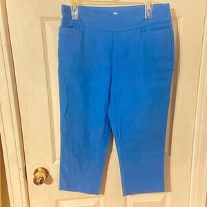 Blue Cropped Pants